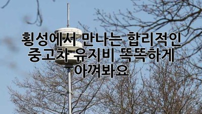 🚗 횡성에서 만나는 합리적인 중고차 유지비, 똑똑하게 아껴봐요! 💸