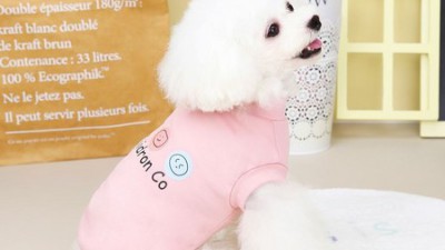댕댕이 겨울나기 끝판왕! 핵인싸템 호랑이어흥티셔츠강아지옷 후기 털어놓을게요!